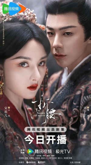 The Prisoner of Beauty
